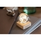 GLOBE LIGHT