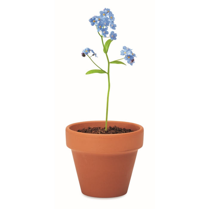 FORGET ME NOT