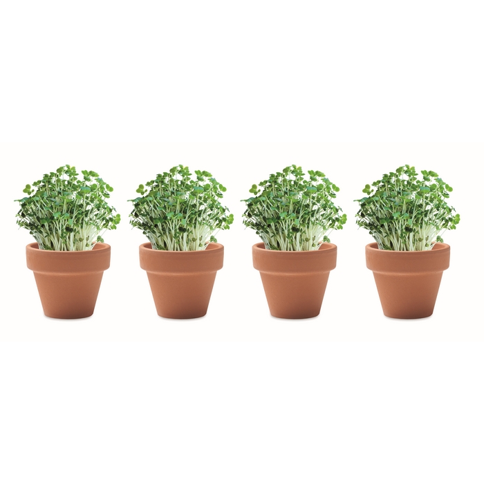 CRESS