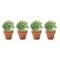 CRESS
