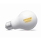 LIGHT