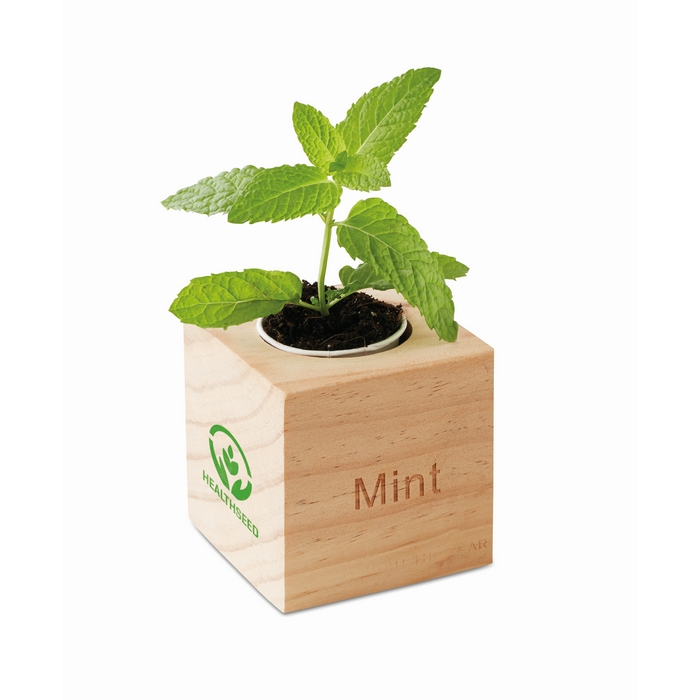 MENTA