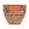 Terracotta-Topf Vergissmeinnich