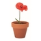 Terracotta-Topf Mohnblume