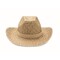 Cowboy-Hut Stroh