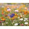 DIN A4 Wildblumen-Samenpapier