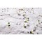 DIN A4 Wildblumen-Samenpapier