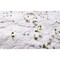 DIN A5 Wildblumen-Samenpapier