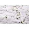 DIN A6 Wildblumen-Samenpapier