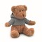 Teddybär mit Hoody