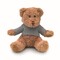 Teddybär mit Hoody