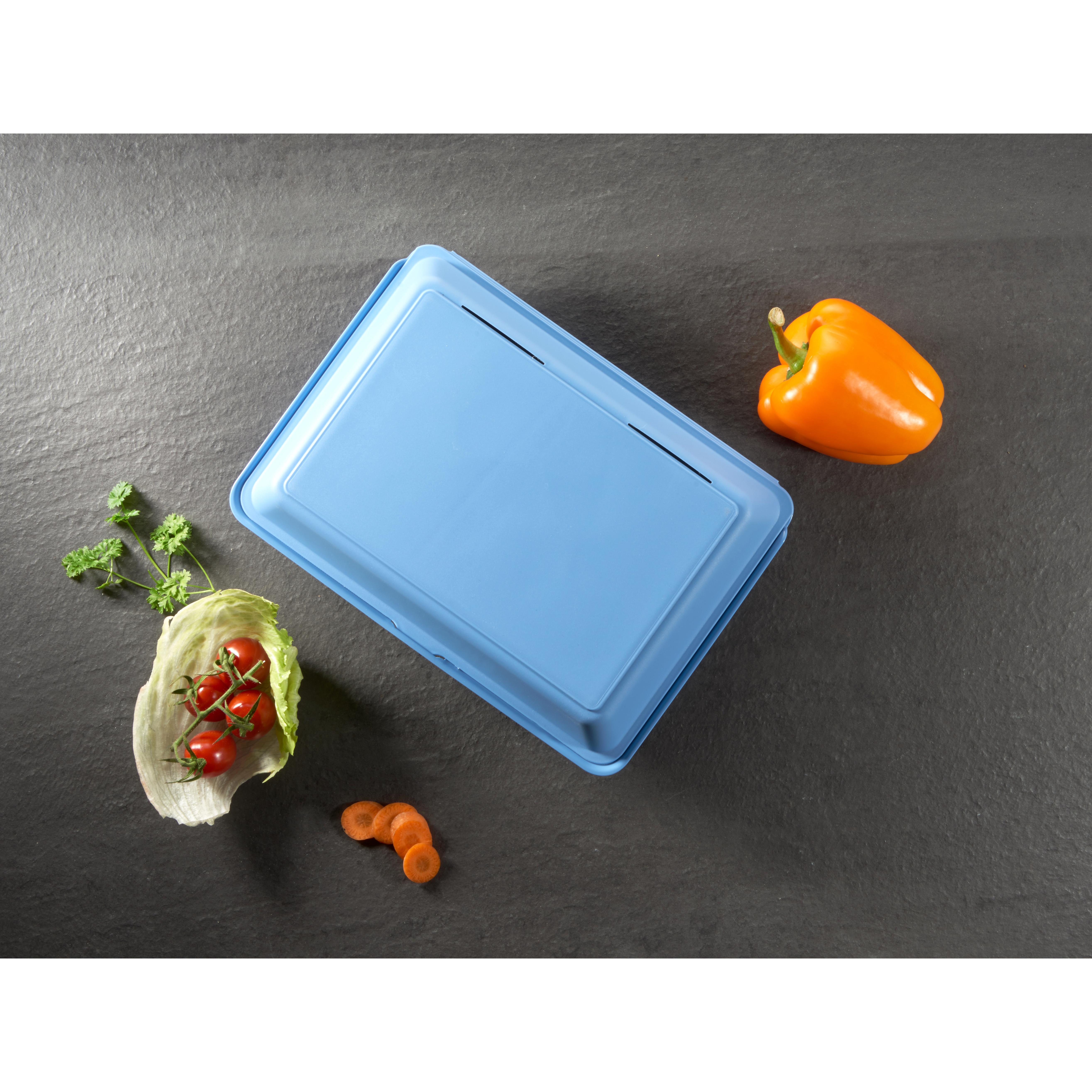 Menübox "ToGo" XL, ohne Trennstege