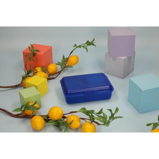 Vorratsdose "School-Box" mittel mit Trennwand