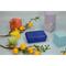 Vorratsdose "School-Box" mittel mit Trennwand