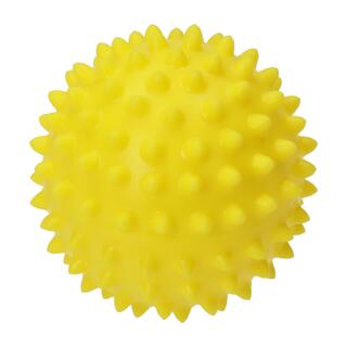 Wellness-Ball "Igel"