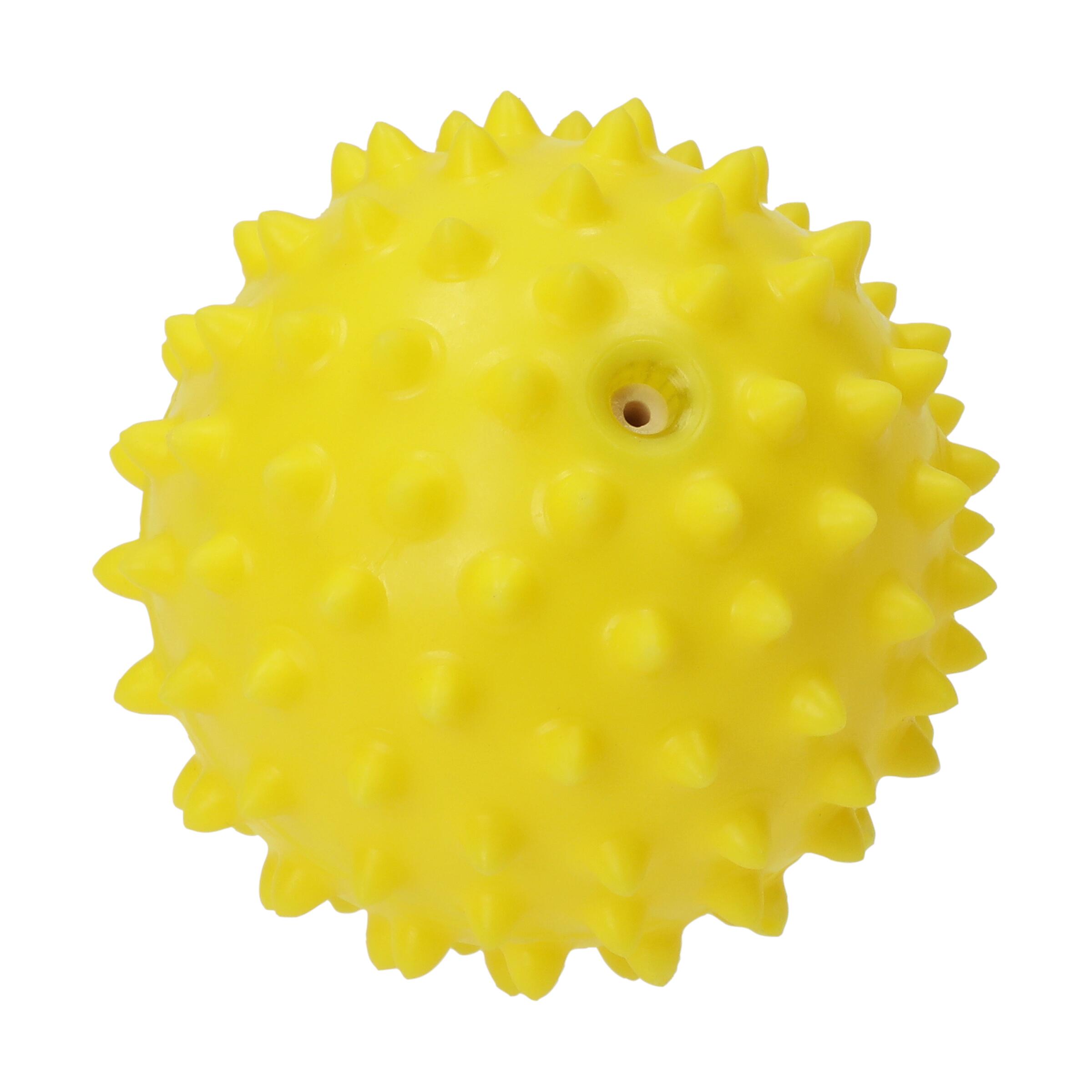 Wellness-Ball "Igel"