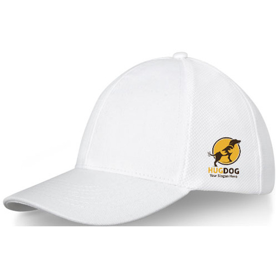 Drake Trucker Kappe mit 6 Segmenten