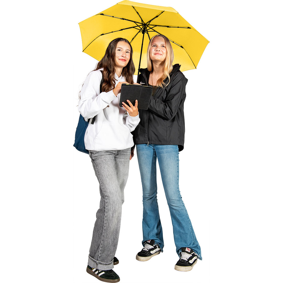 Topless-Mini-Taschenschirm