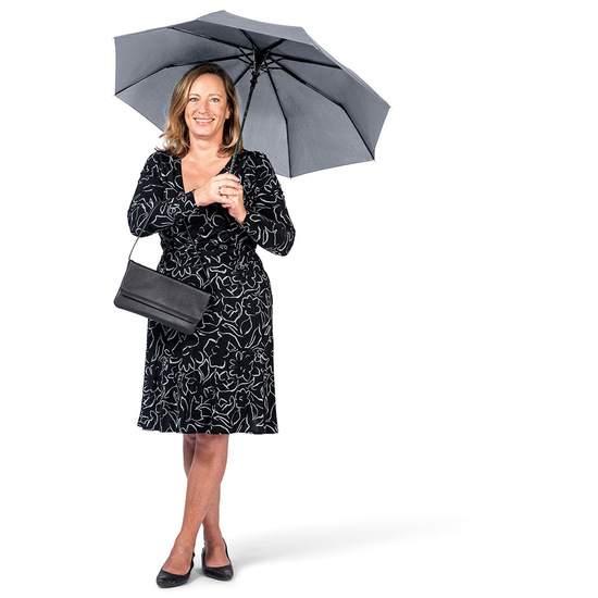 AC-Mini-Taschenschirm