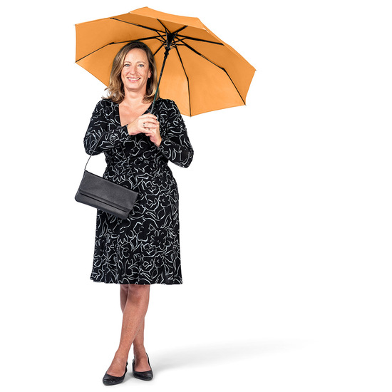 AC-Mini-Taschenschirm