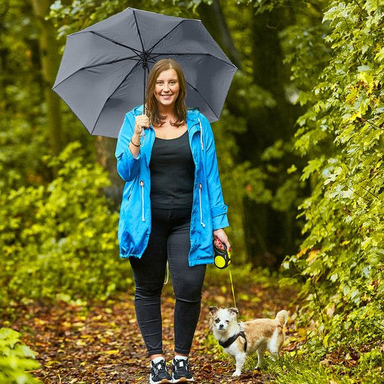 Taschenschirm FARE® AC Plus