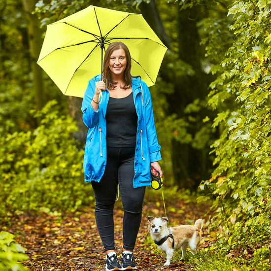 Taschenschirm FARE® AC Plus