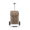 shopping trolley