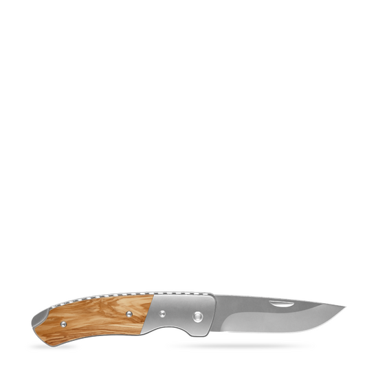 RICHARTZ® LEO 200 olive