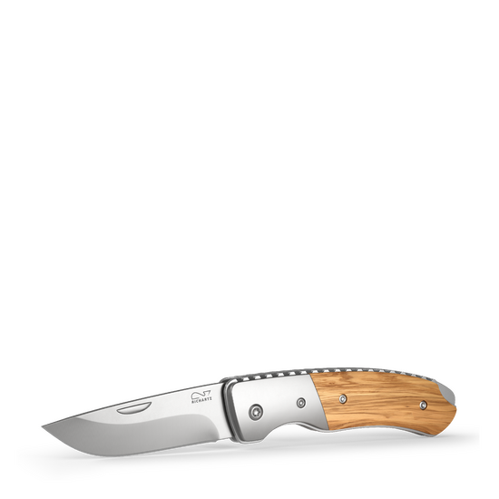 RICHARTZ® LEO 200 olive