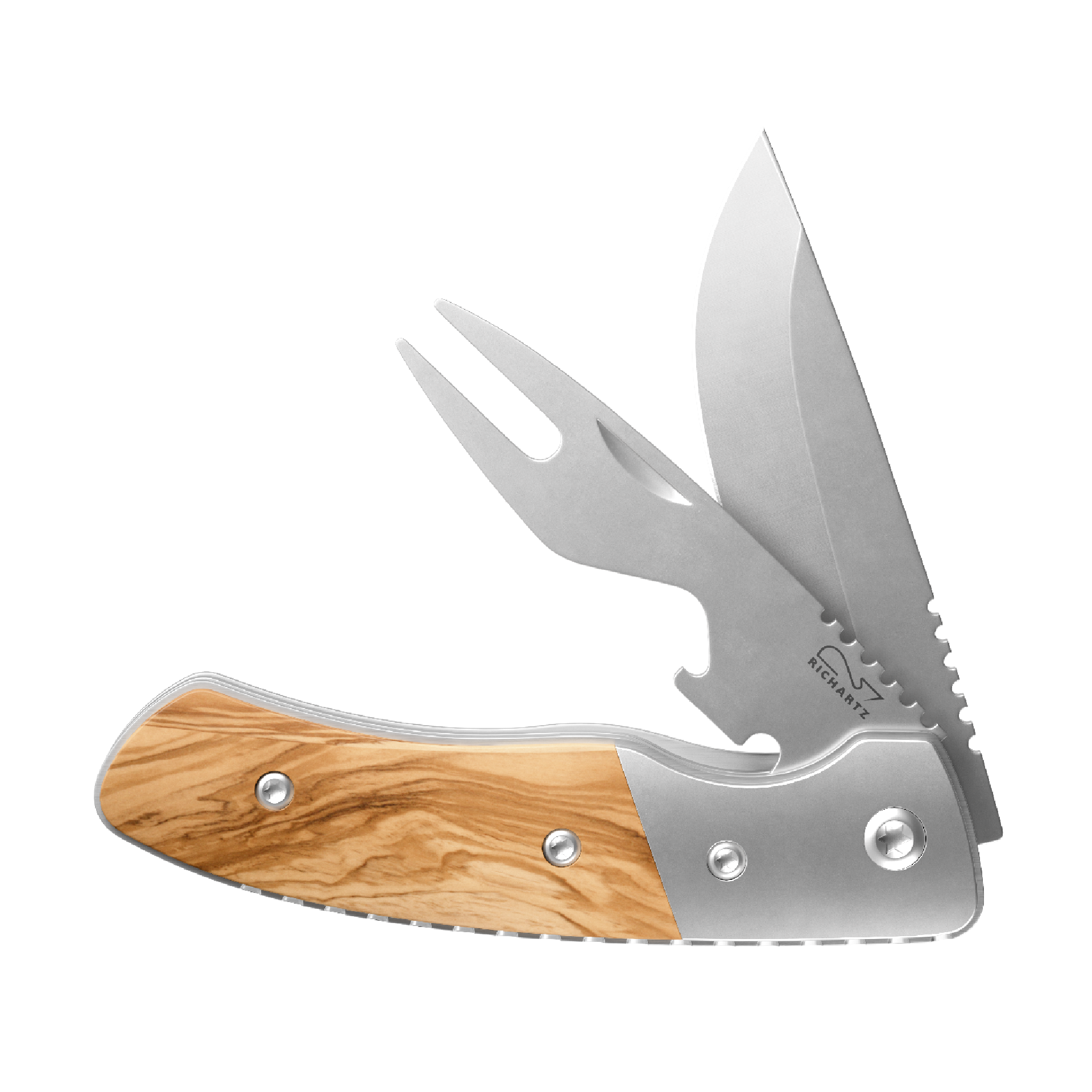 RICHARTZ® LEO picknick olive