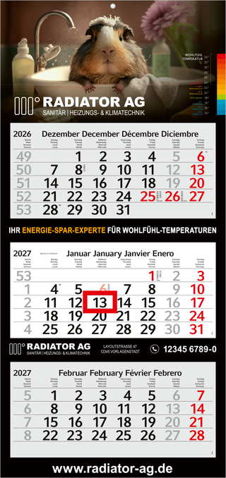 3-Monatskalender Mehrblock Profil 3 EXPRESS Schrift modern