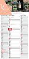 3-Monatskalender Einblatt Spectrum 3 EXPRESS Streifenkalender 3 Monate
