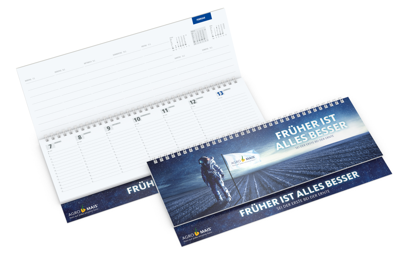 Tisch-Querkalender Master 1 Woche = 2 Seiten 8–21 Uhr, Einband Karton-Softcover