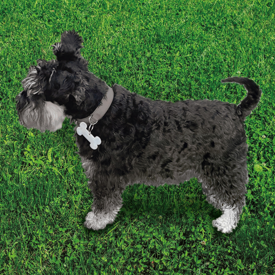 Weich-Reflektor "Knochen"