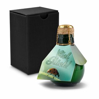 Origineller Sekt Viel Glück - Karton Schwarz, 125 ml 2K1358n2
