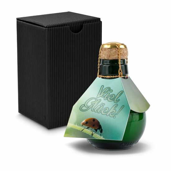 Origineller Sekt Viel Glück - Karton Schwarz, 125 ml 2K1358n2