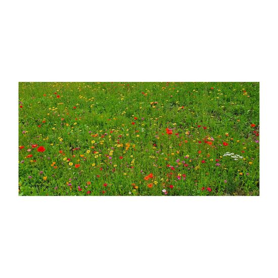 Ein buntes Oster-Paket: 1 Flasche Weißwein, 5 Lindt Mini Goldhasen, 15 Lindt Lindor Eier und 6 bunte Blumenmurmeln