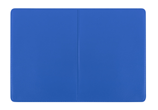 thanxx® Pflastermäppchen "PflasterL" Normalfolie blau