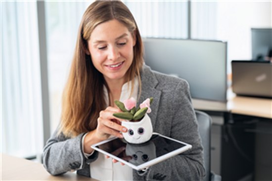 Schmoozies® Evergreenies® Tulpe