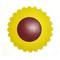 Glas-Abdeckung Sunflower