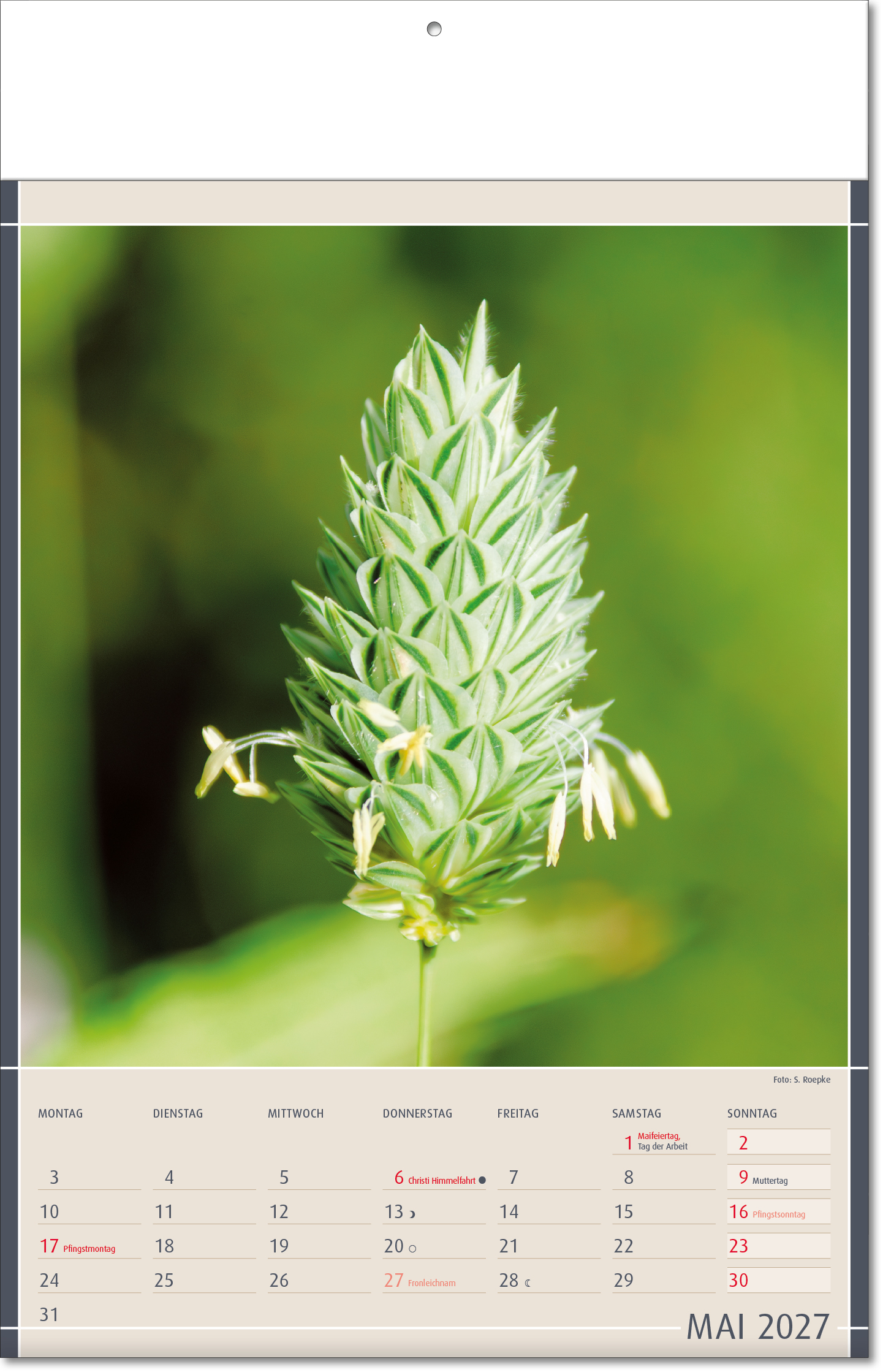 Bildkalender Fundstücke der Natur, Fälzel