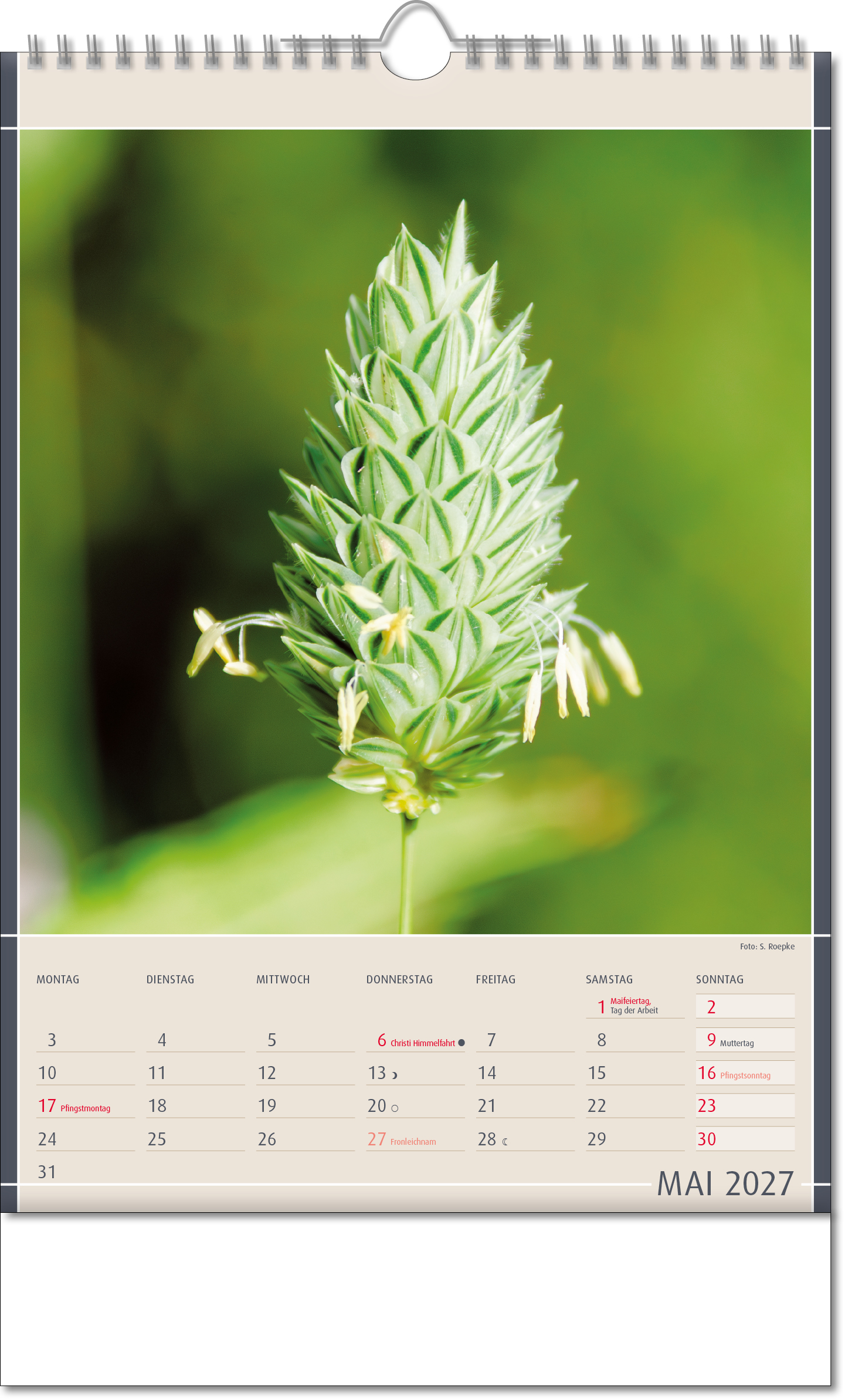 Bildkalender Fundstücke der Natur, Wire