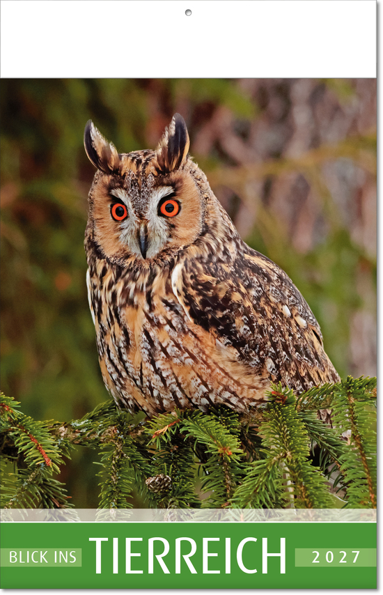 Bildkalender Blick ins Tierreich, Fälzel