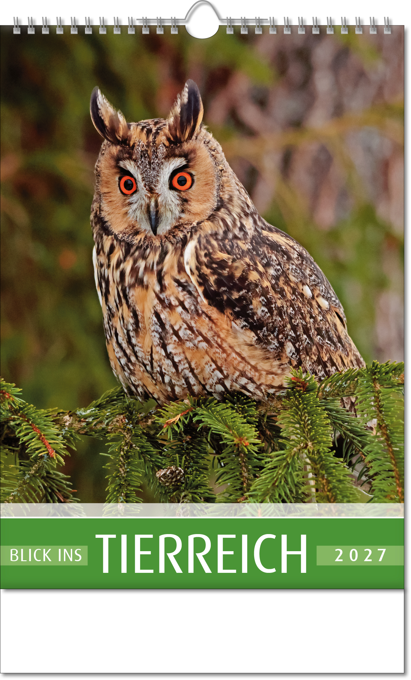 Bildkalender Blick ins Tierreich, Wire