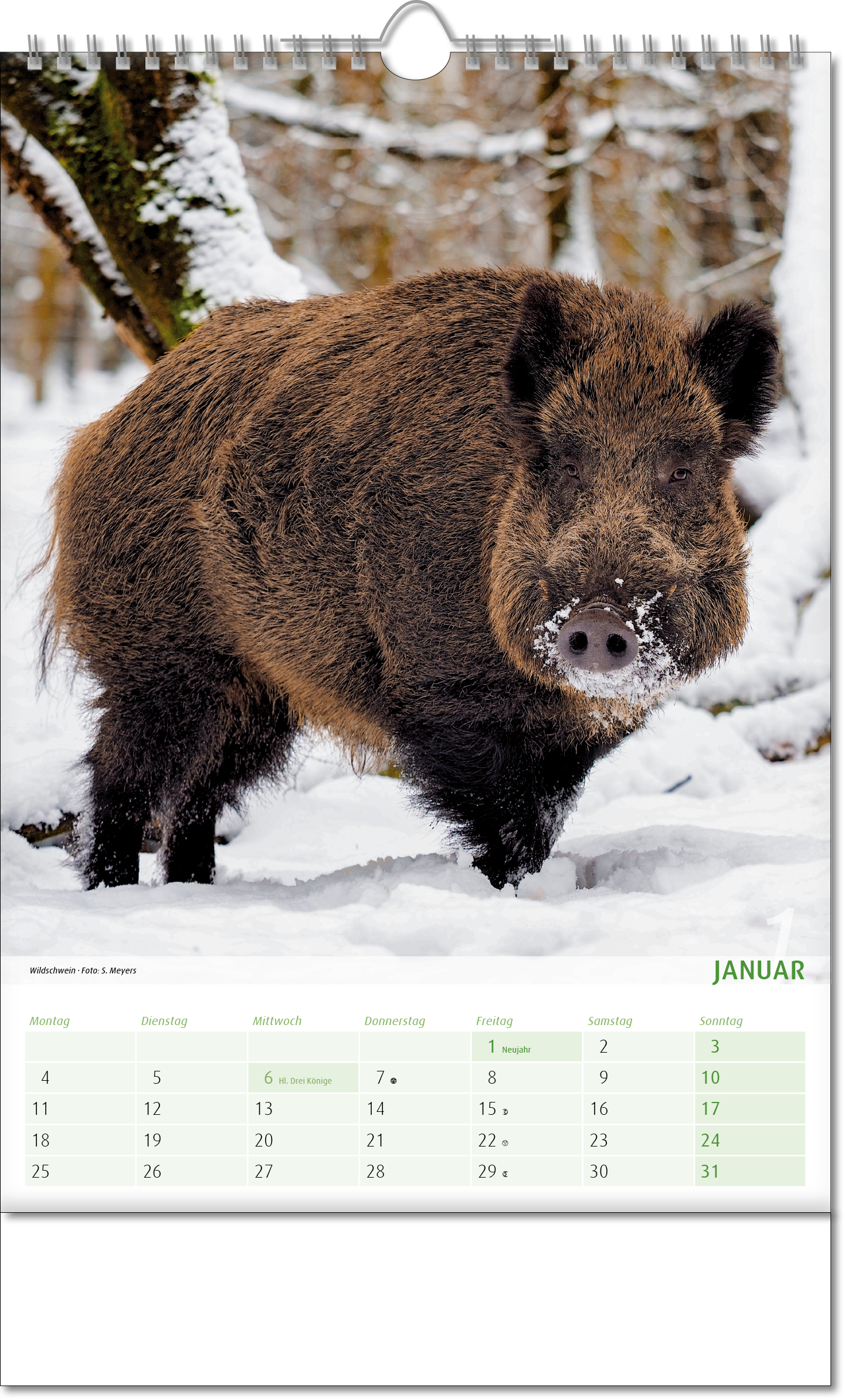 Bildkalender Blick ins Tierreich, Wire