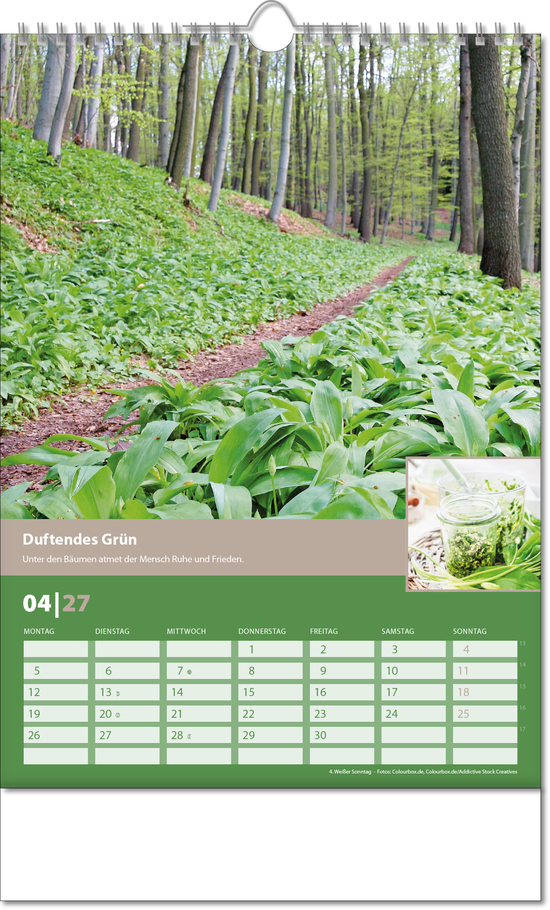 Bildkalender Landlaune, Wire