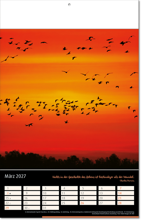 Bildkalender Emotion, Fälzel