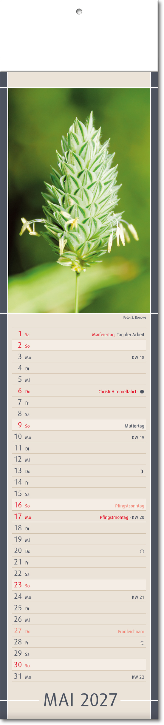 Bildstreifenkalender Fundstücke der Natur, Fälzel
