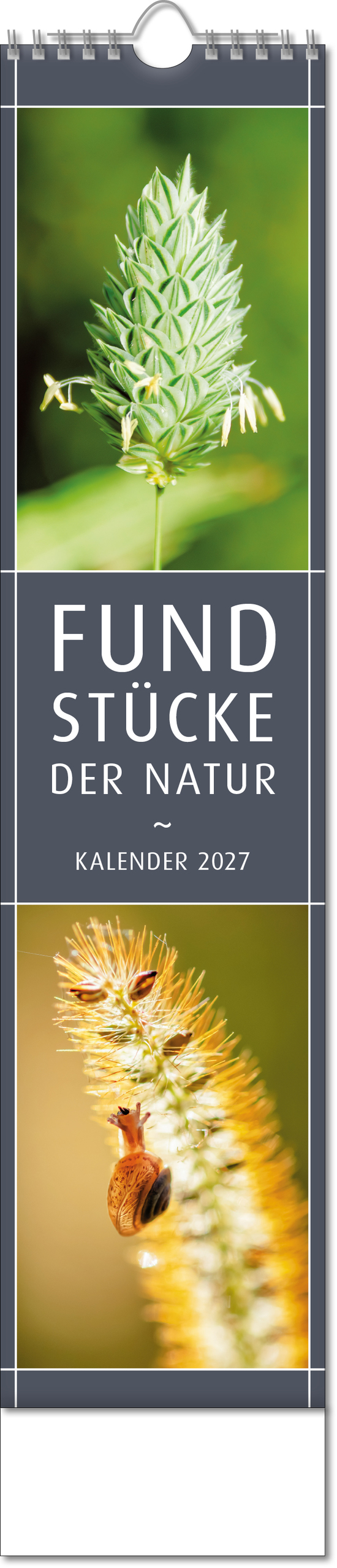 Bildstreifenkalender Fundstücke der Natur, Wire