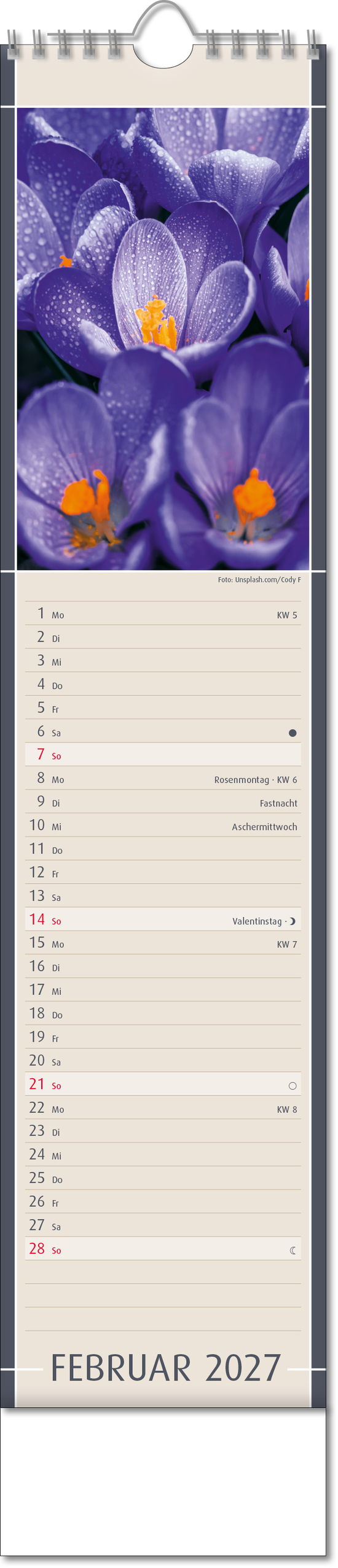 Bildstreifenkalender Fundstücke der Natur, Wire
